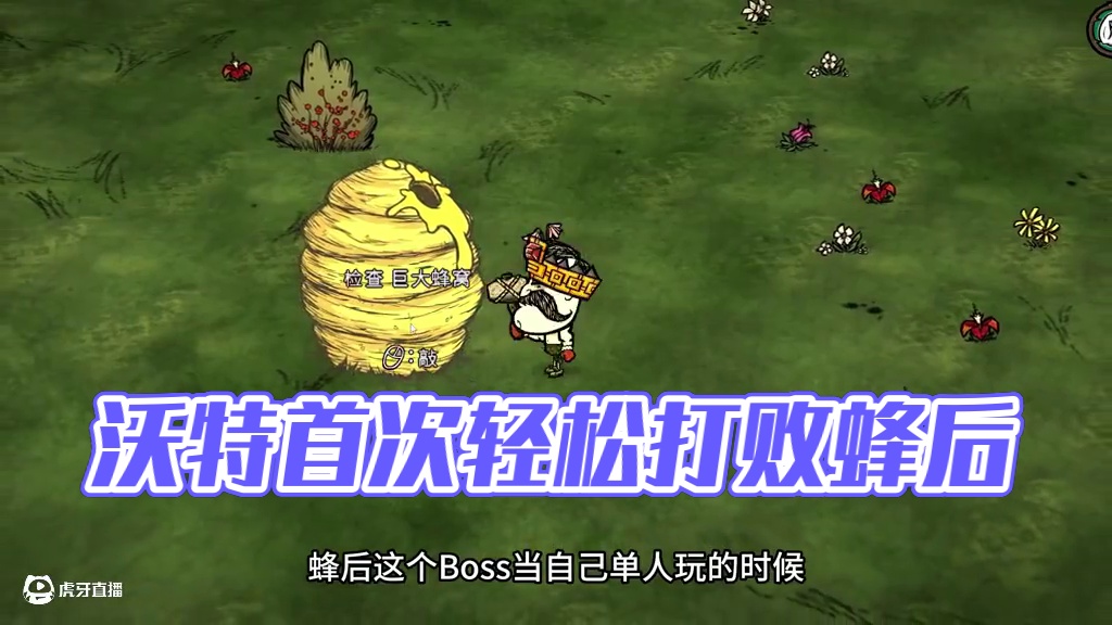 饥荒联机版沃特：第一次觉得打蜂后如此的简单！ #饥荒