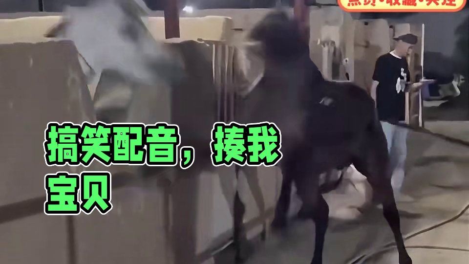 搞笑配音 多少有点埋汰#搞笑 #翻译腔