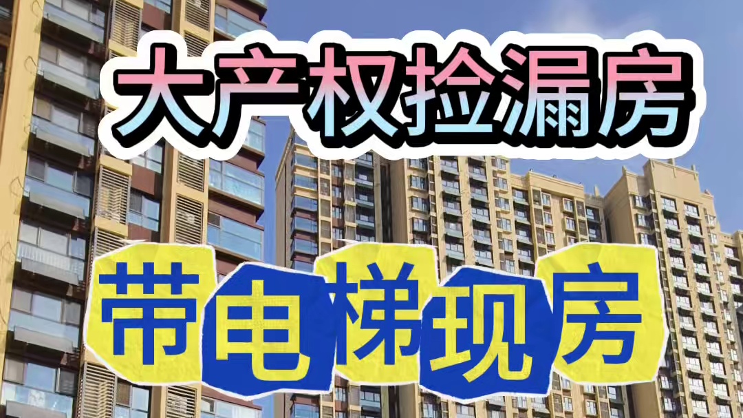 现房大产权