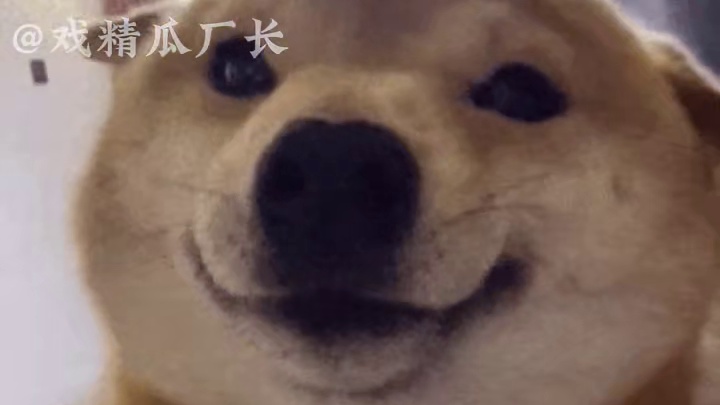 还有人没见过蜥蜴跑步吗 #娱乐评论大赏  #蜥蜴  #搞笑  #搞笑视频