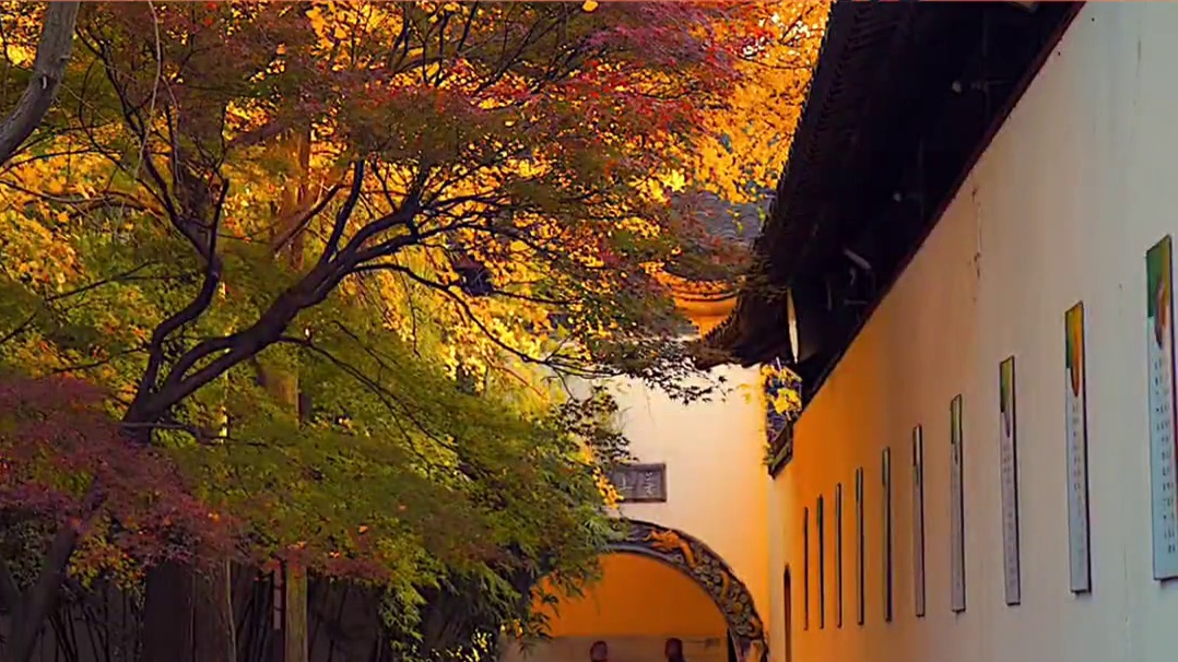 原来任何性格特质都是具有两面性的，甚至可以说性格没有优点和缺点只有特点#情感 #情感共鸣 #性格 #