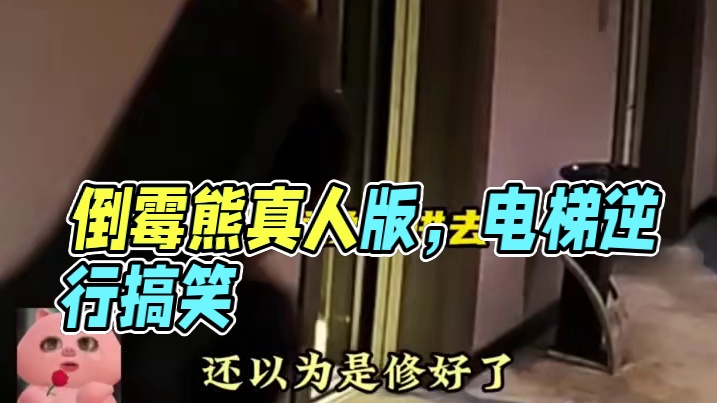 人怎么能倒霉成这样#搞笑 #社死 #倒霉熊 #娱乐超有料