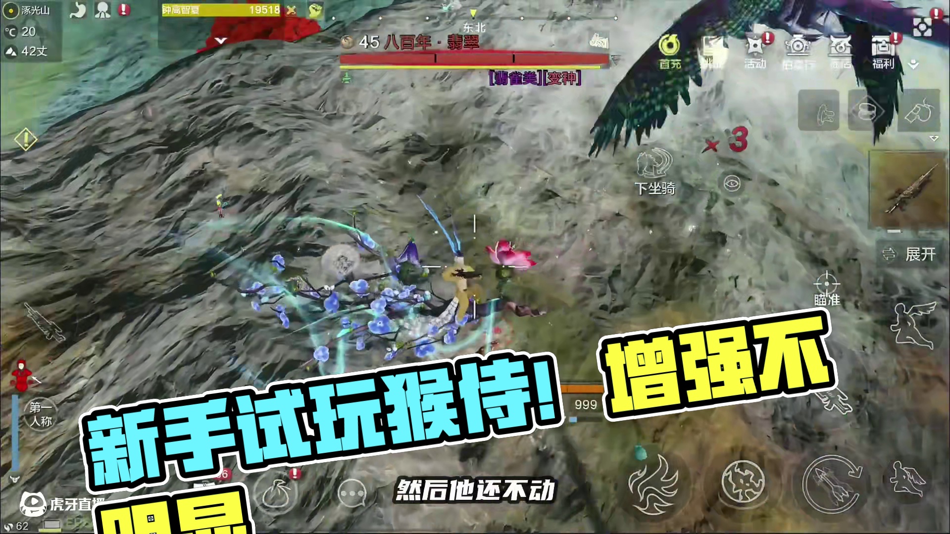 新侍从猴子就增强了？不是，我刚搞双甲侍从啊 #妄想山海 #妄想山海四周年