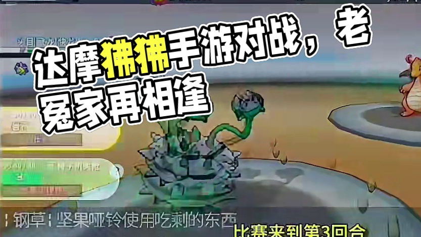 本期：晴天达摩狒狒Vs大胆宝石海星#pokemmo #宝可梦对战 #达摩狒狒 #宝可梦手游 #内容启