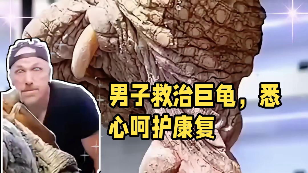 男子遇到了一只巨大的鳄龟，还帮助它清理身上的肿瘤
