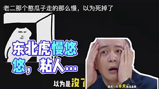東北虎：我走的慢你們就以為我嘎了？