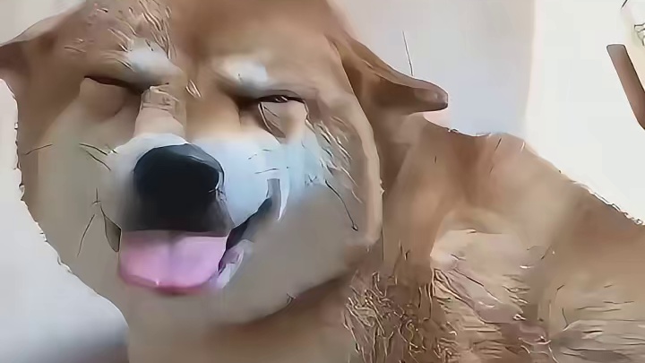 狗不知道吃巧克力会s，但知道会被你打s