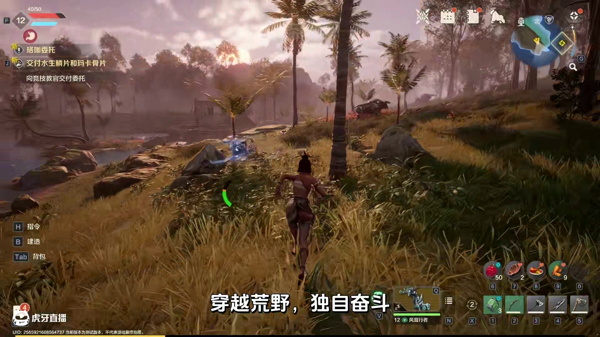 探索未知，无限可能的荒野冒险