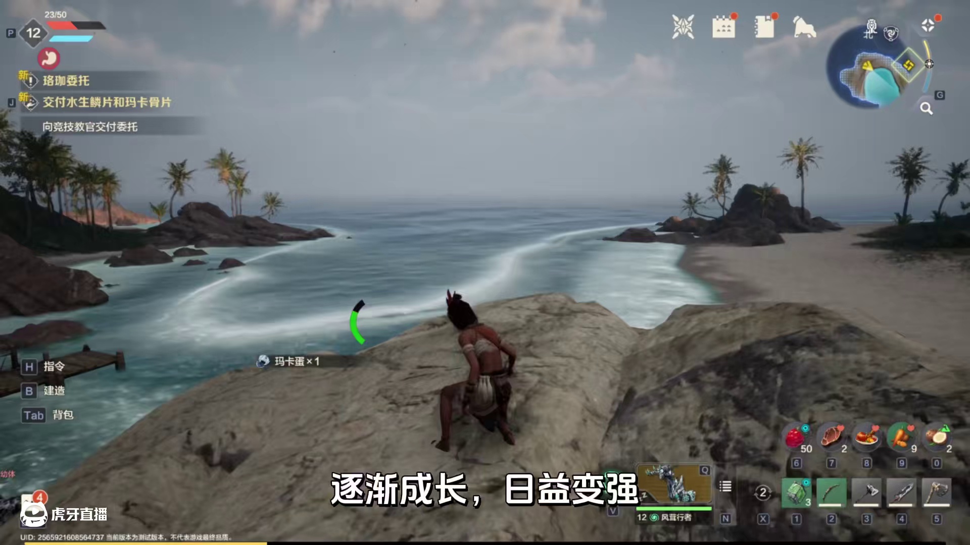 挑战霸主，荣耀征程