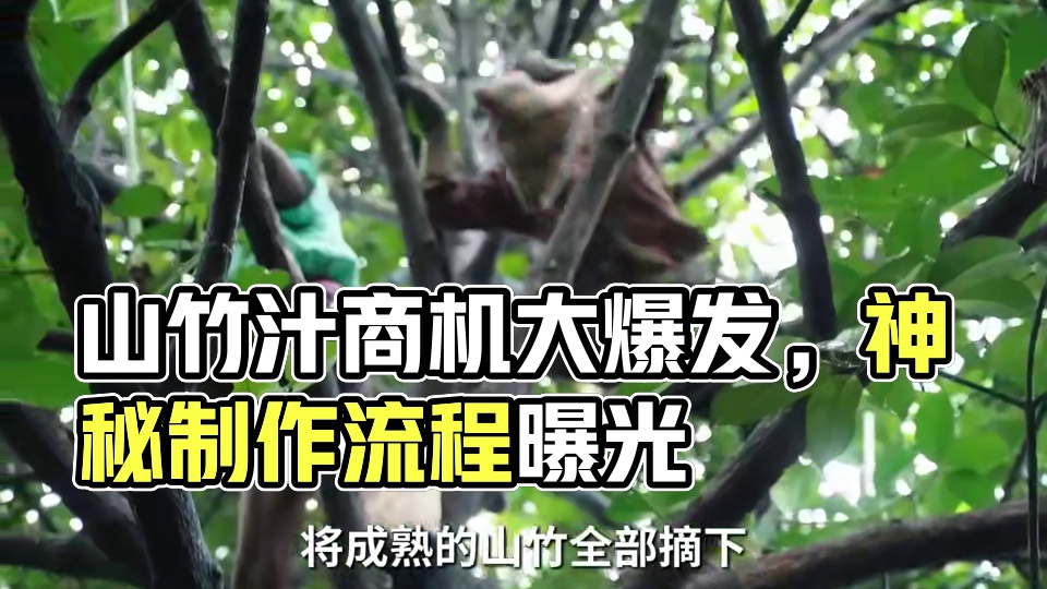 没想到他这一个奇葩的举动，竟然被他嗅到了商机！制作出了美食 #山竹汁 #山竹