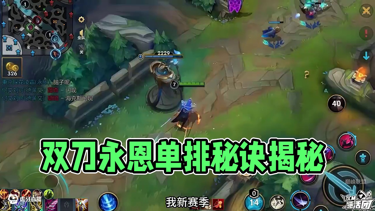 名副其实的双刀螳螂(1)