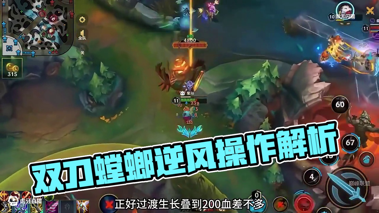 名副其实的双刀螳螂(2)