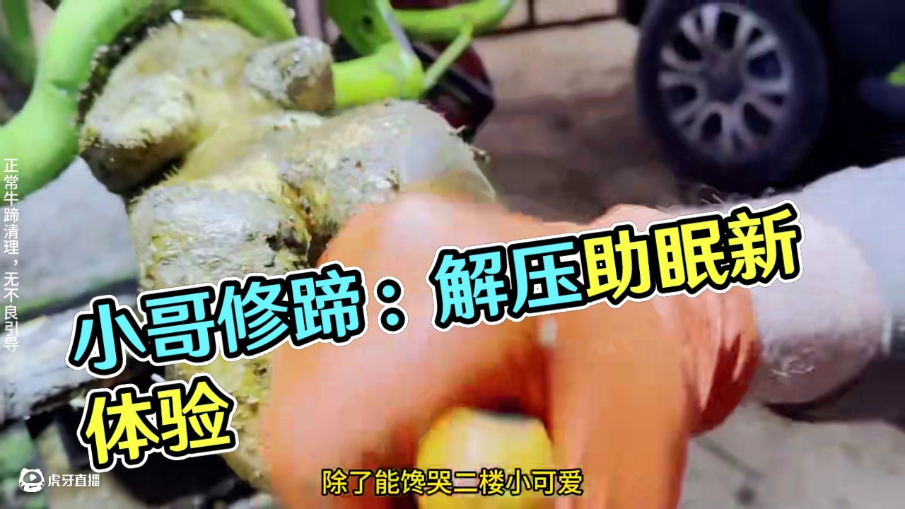 当你还沉浸在爆浆里，小哥早已留恋起多出来的一块皮 #解压 #强迫症 #助眠 #极度舒适 #修蹄