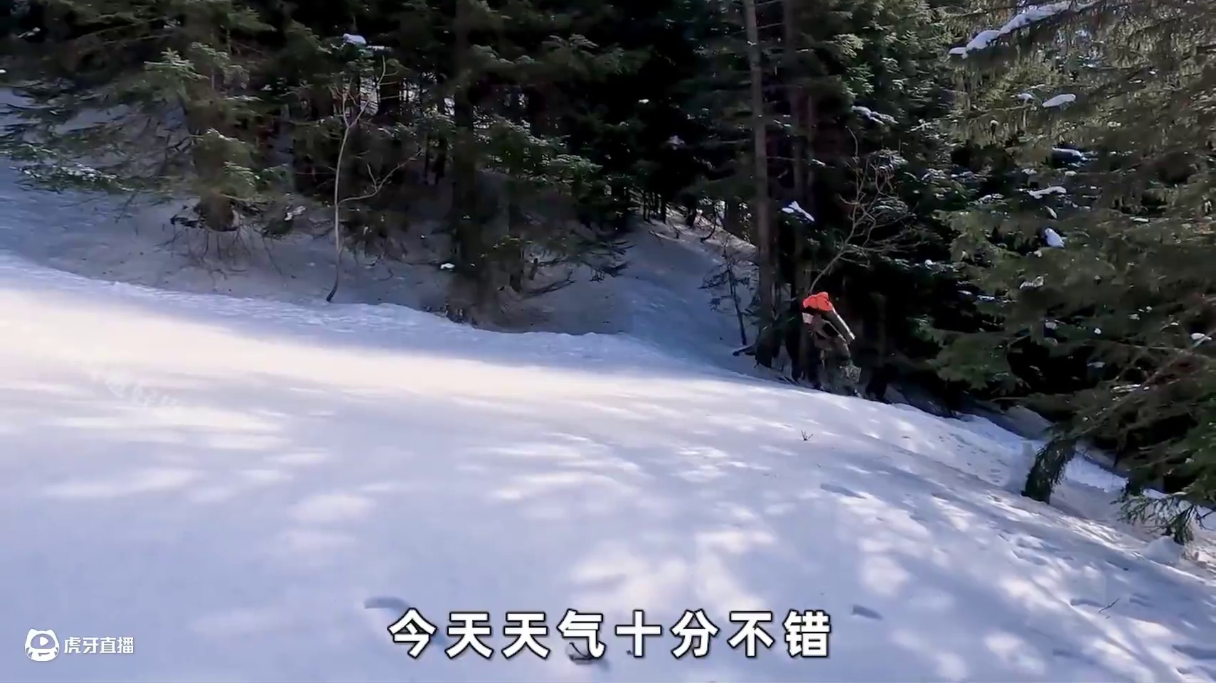 居住在金字塔结构的雪屋中，壁炉燃烧一夜雪都没化 #荒野建造 #荒野搭建 #解压建造