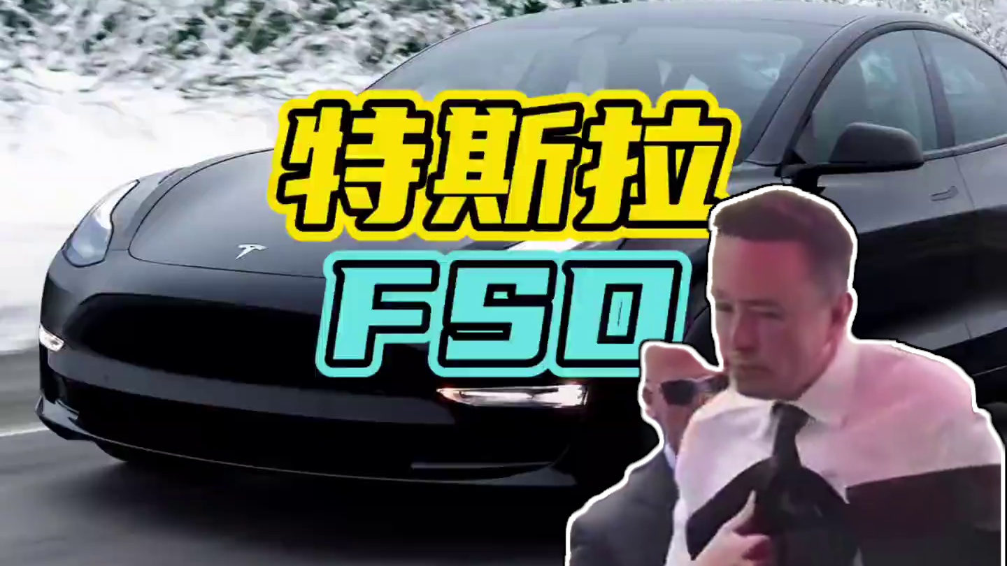 特斯拉的FSD将正式推送到国内！#懂车帝特斯拉FSD首测 #特斯拉FSD国内落地
