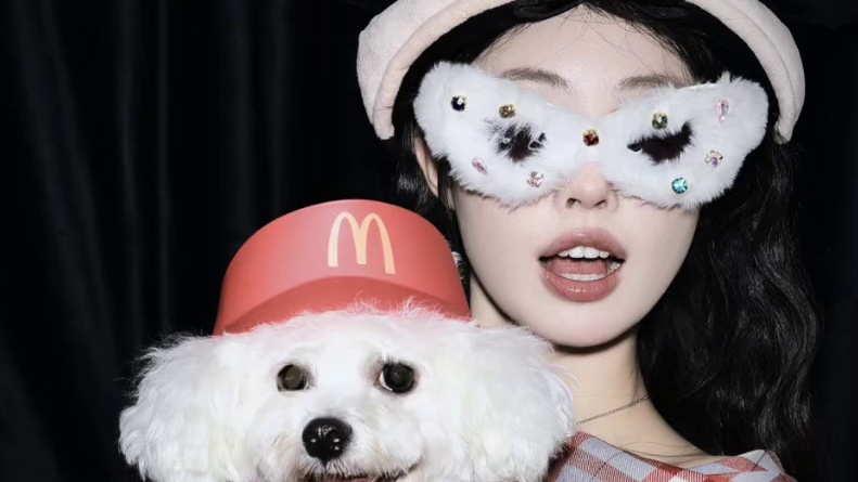 小狗拯救世界！狗生四宫格出现啦！ #拍照 #人生四宫格 #狗狗