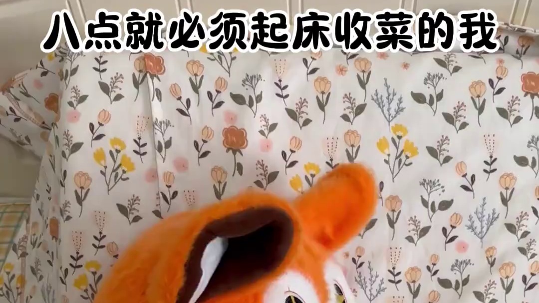 就这样再贪一分钟……#元梦之星 #元梦之星大唐风华赛季 #起床困难户 #玩家投稿