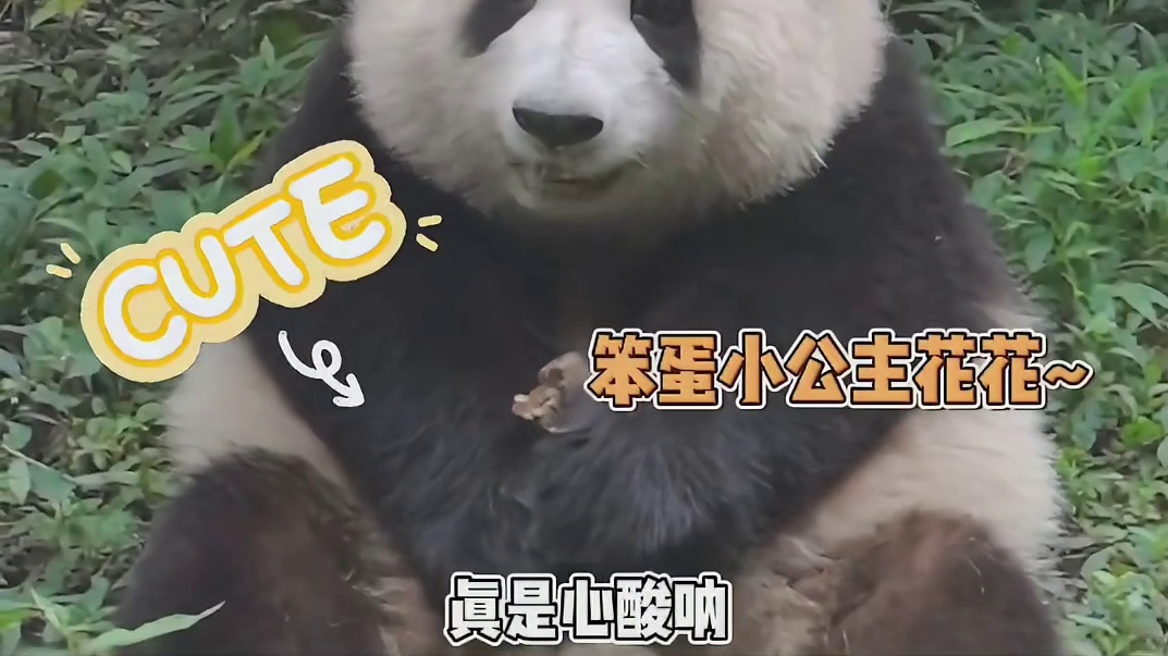 我已经不是当初的我了