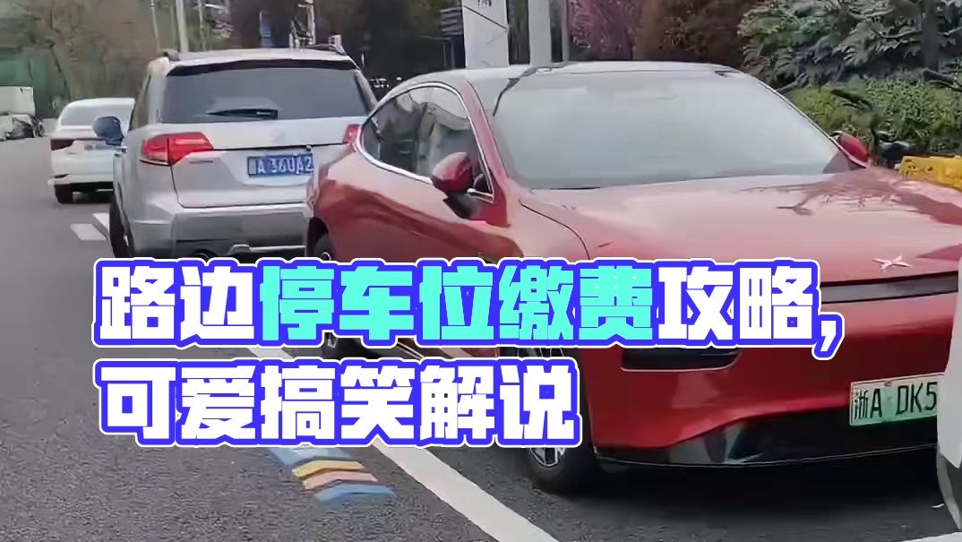 路边停车位需要缴费吗？#每天一个用车知识