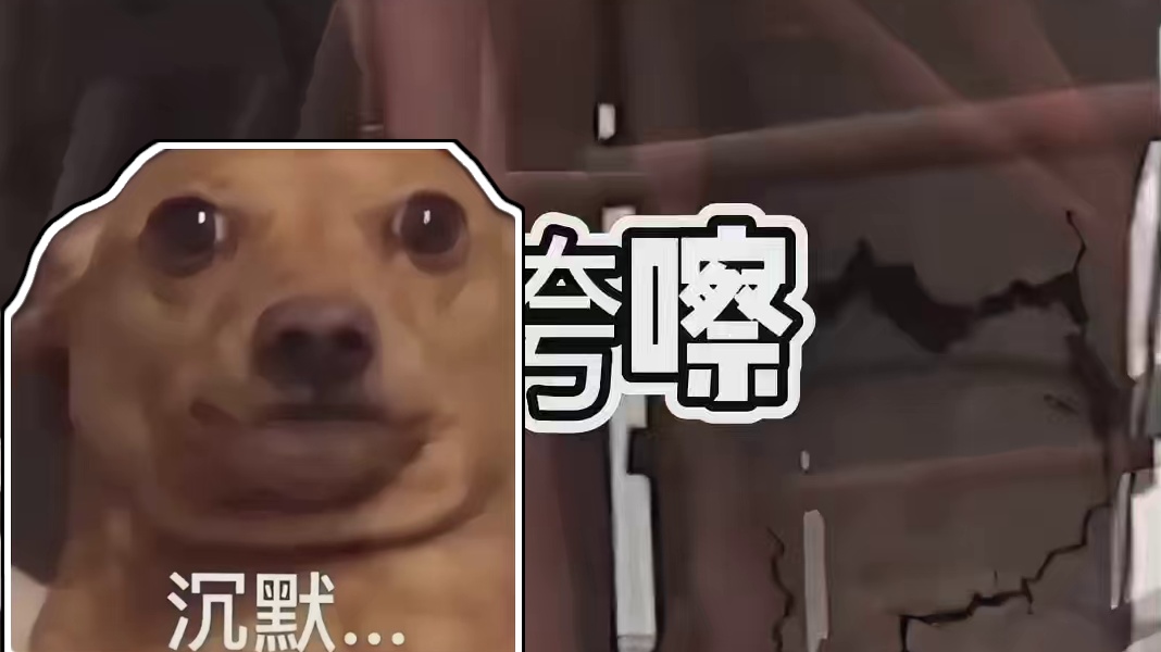 这也太惨了