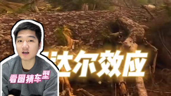 看图猜车型，长城这是要进发“灯厂”吗？#长城 #国产之光 #哈弗