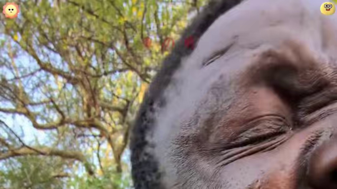 嘟嘟吃了！肥肠了！ #纪录片