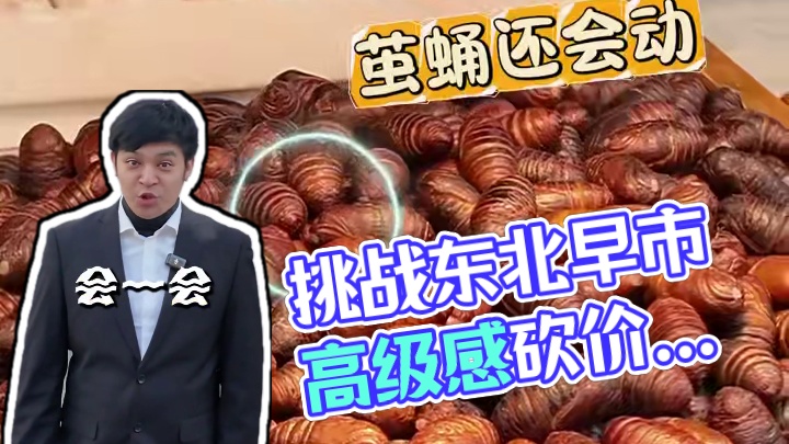 挑战东北早市吃出高级感 #东北早市  #东北物价  #谁懂这一口的好吃程度  #吃货