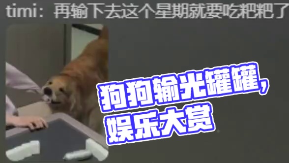 狗：你清高把我的罐罐都输了！！ #娱乐评论大赏 #万万没想到 #狗狗 #狗狗的心思都写在脸上了