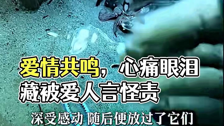 “爱情不分物种” #爱情 #万物皆有灵 #感情共鸣 #会火