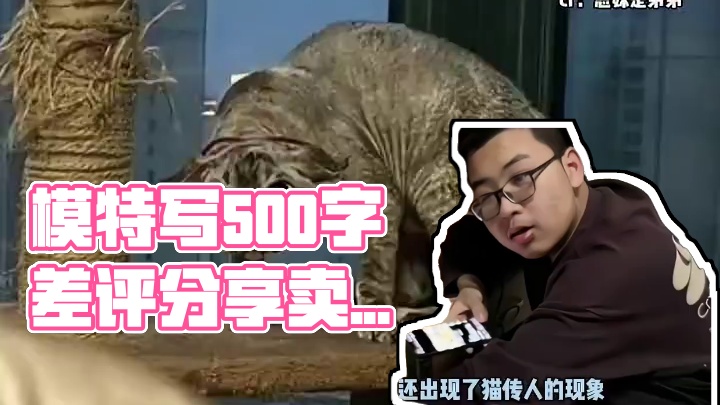 模特写了500字的差评并分享了卖家秀