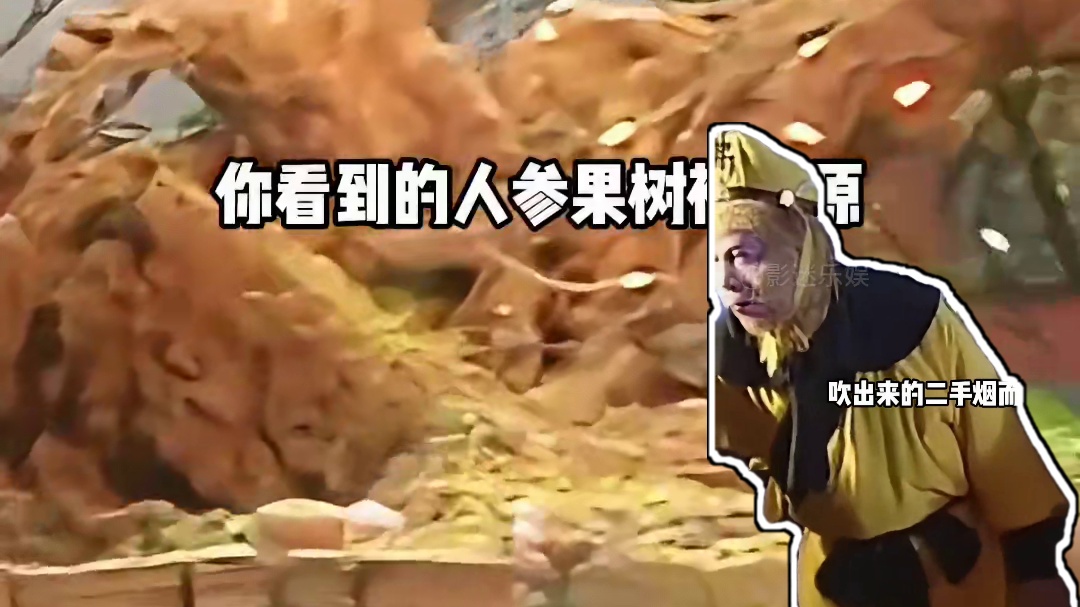 原来我们被骗了39年！看西游记中用到的土方子，才知智商被拿捏 #西游记 #孙悟空 #明星 #2025