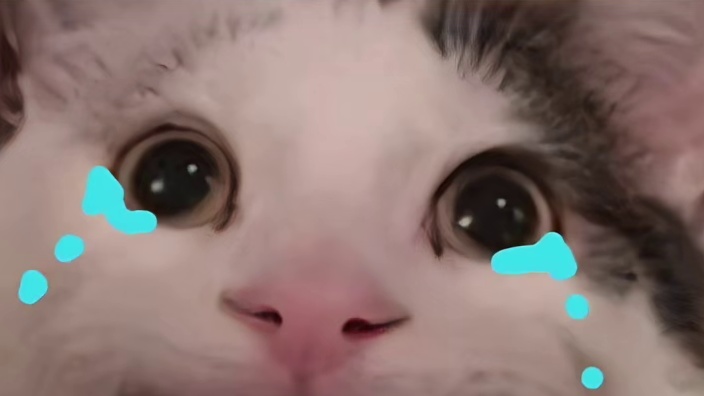 为什么我遇不到这么，通情达理，还漂亮的小姐姐呢