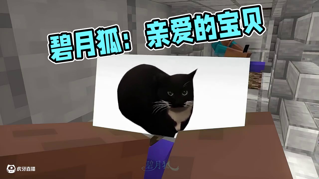 碧月狐：晚上睡前的精神状态 #我的世界 #碧月狐