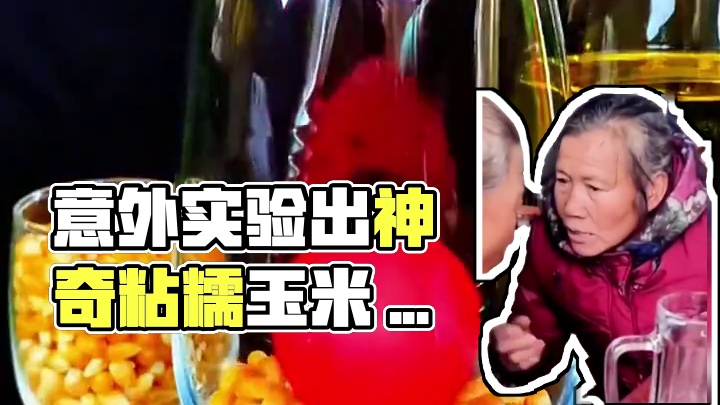 万万没想到这次意外的实验中，竟然做出来一个很多人都爱吃的美食 #粘糯玉米 #十月稻田 #科普 #涨知