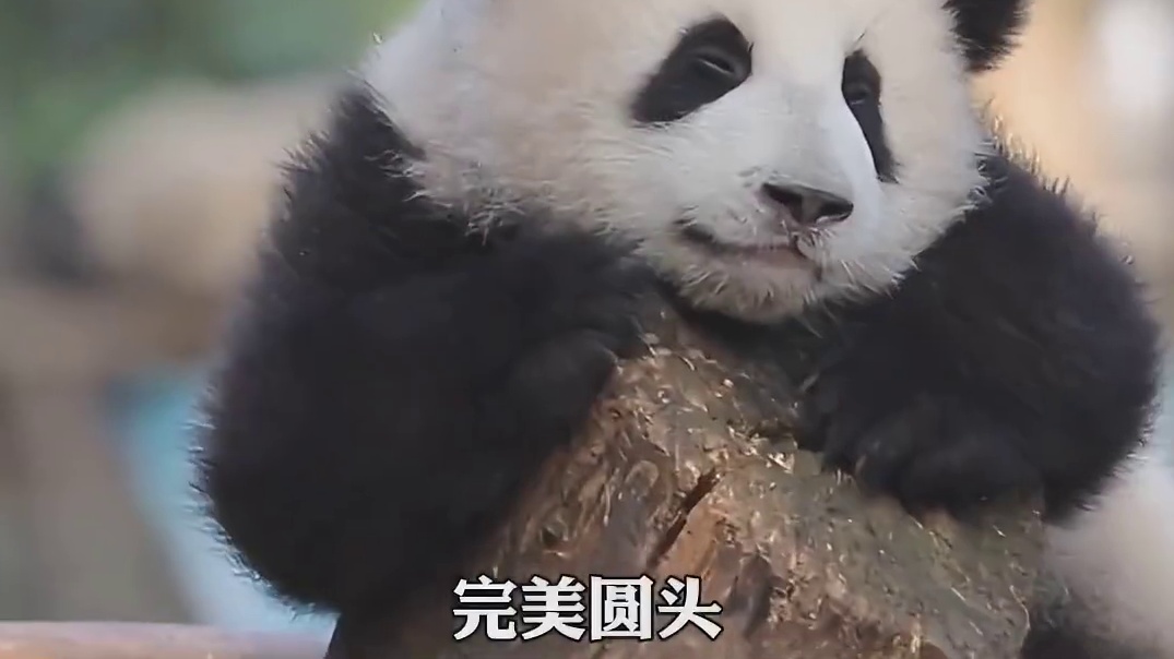 花花到底有几个绯闻男友啊！