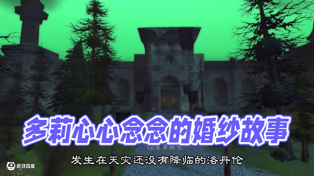 多莉的拥抱披风背后的感人故事 #魔兽世界 #魔兽世界怀旧服 #艾泽拉斯的秘密