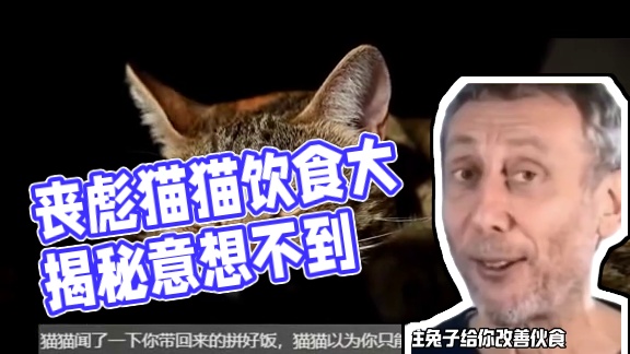 丧彪：一看你就没吃过，给你吃点好的！ #娱乐评论大赏 #万万没想到 #猫猫