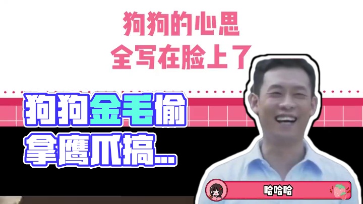 狗狗：趁妈妈不注意，这就是我的啦！#萌宠日常记录 #狗狗 #金毛 #看一次笑一次