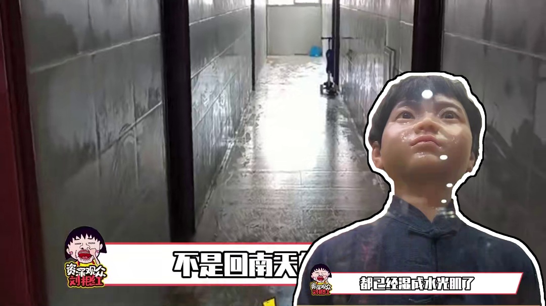 北方人的倒春寒，南方人的回南天又来了#万万没想到 #回南天