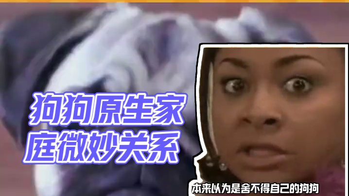 狗：原生家庭是一生的潮湿..... #娱乐评论大赏 #万万没想到 #原生家庭 #狗狗