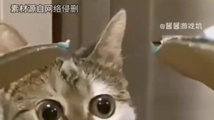 我勒个警家烟啊#游戏 #csgo  #fps #二次元