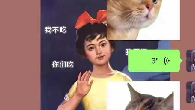 来自一个正儿八经的声优的配音 meme猫十级考试#猫meme #表情包模仿秀 #声优都是怪物 #猫m