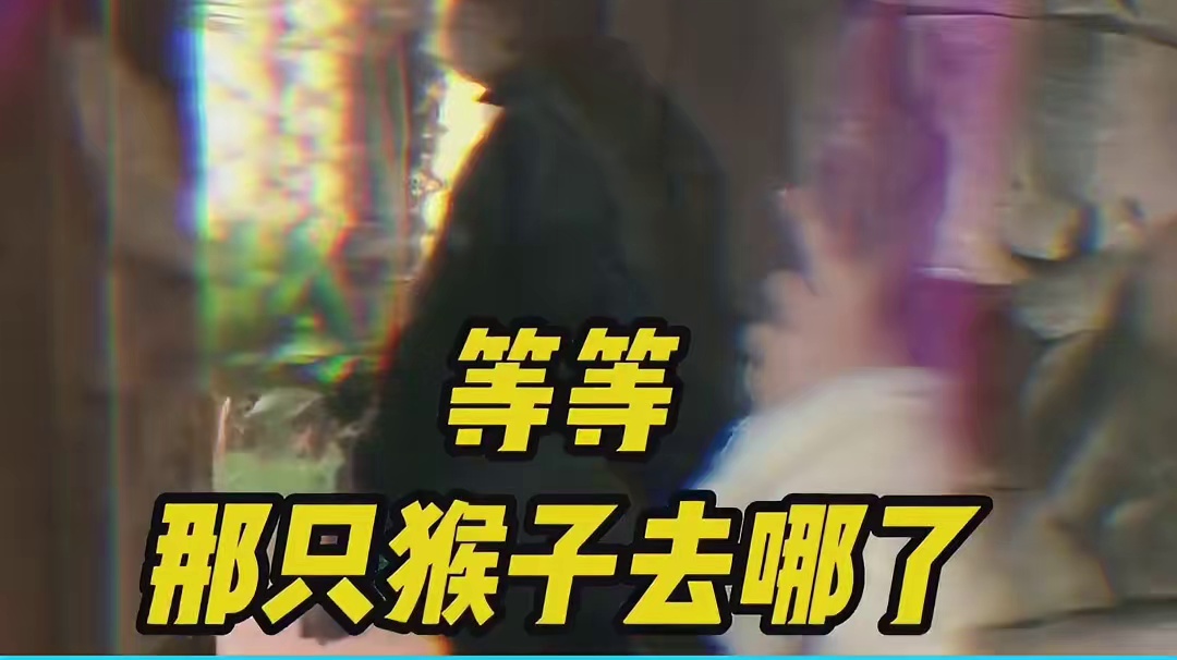 上一个这么丝滑的还是麦格教授