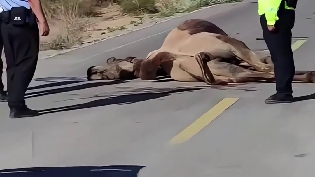 《乡村爱情》主演现状各异，令人感慨