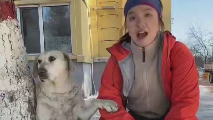 这年头我甚至不如一只狗认识的人多