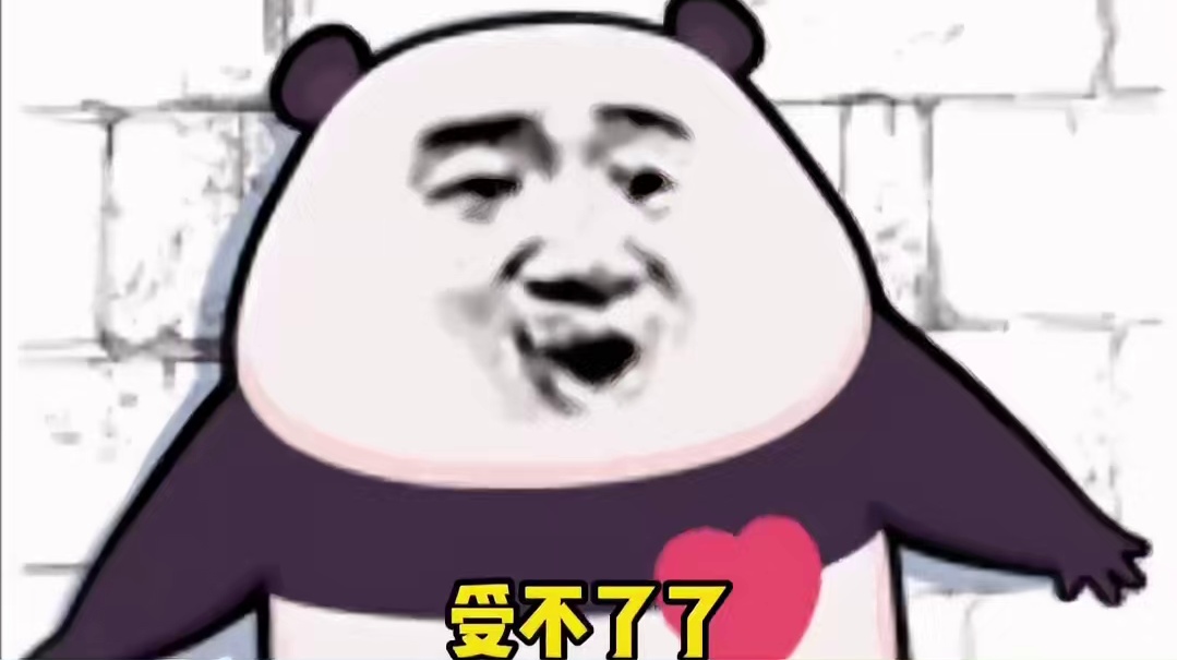 睡醒就找妈妈鞠躬的小猫哪里找啊