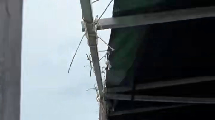 三亚这里的鱼可真多呀！ 没想到三亚还有这么美的小众海湾，鱼多的要命。看得我密集恐惧症都犯了！#三亚海