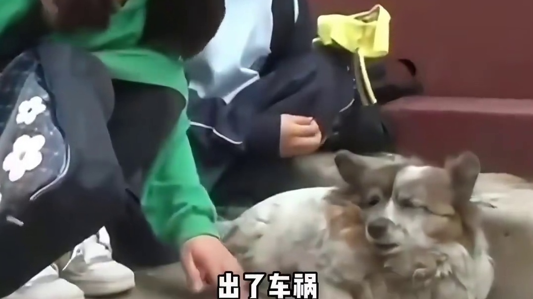 福实啊你的主人一直在天堂等你