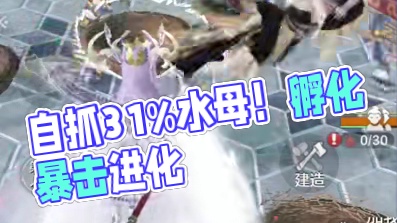 直接自己抓了一个31%的水母这运气太好了！孵化好还是卖了好呢 