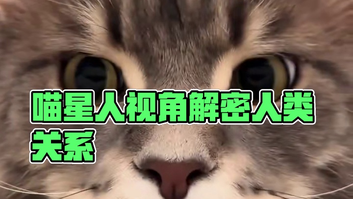 在喵星人眼中人类到底是什么？答案没想到#科普